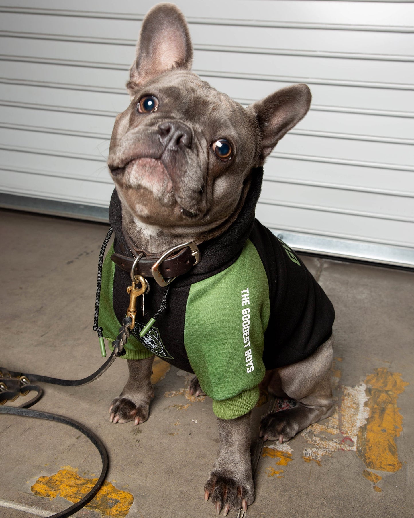 Dog Hoodie - Goodest Boys - Black & Green